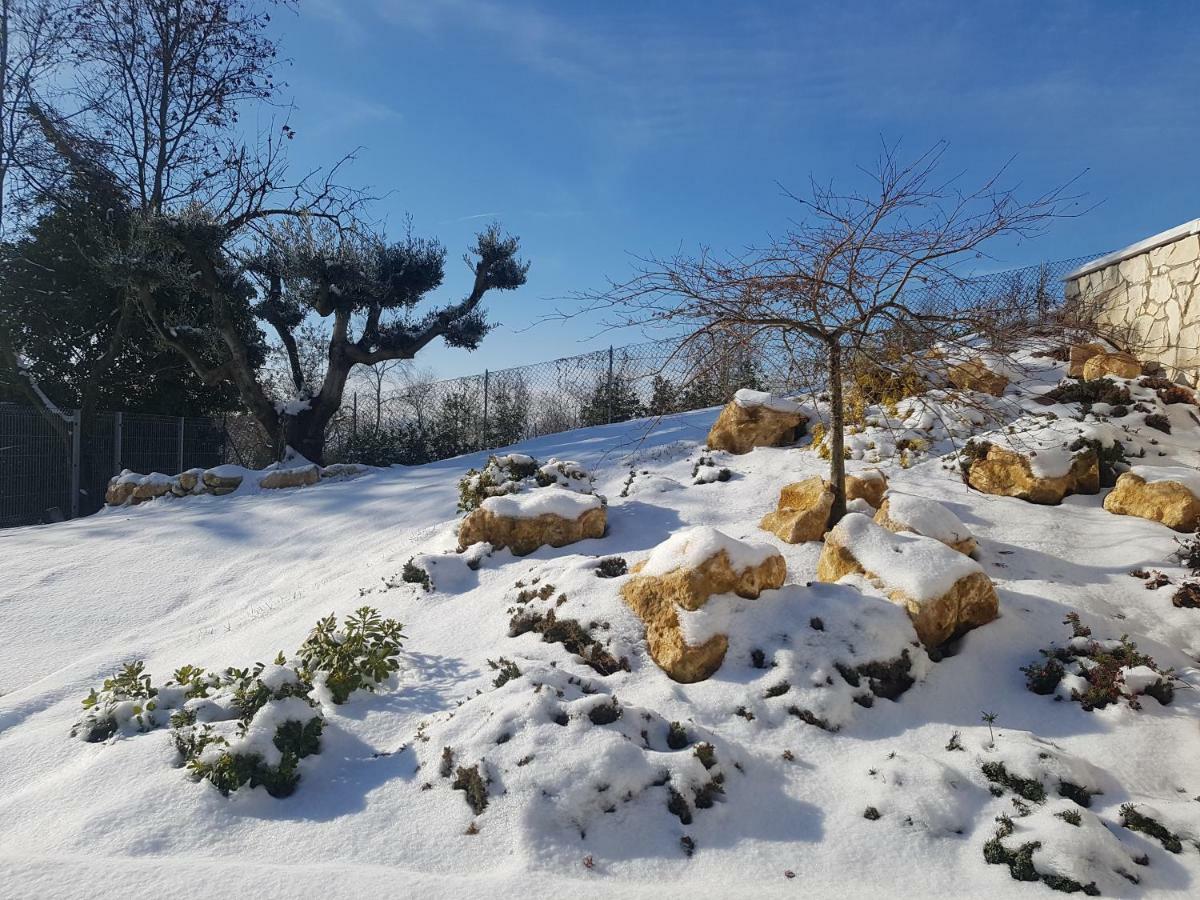 Tobaland B&B Monteviale Εξωτερικό φωτογραφία