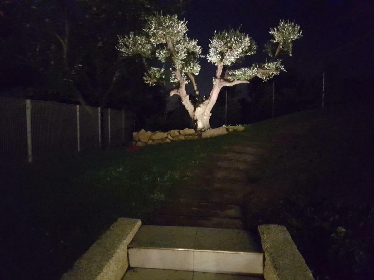 Tobaland B&B Monteviale Εξωτερικό φωτογραφία